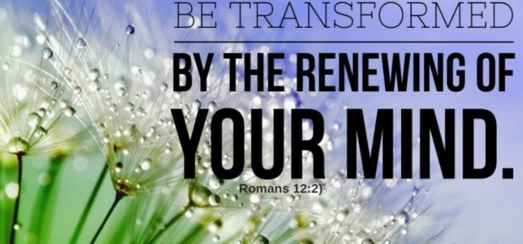 Prophetic News Radio-Mind Control and current events with Susan Puzio. We discuss current events in the news and mind control. Prophetic News Radio-Mind Control and current events with Susan Puzio. We discuss current events in the news and mind control.